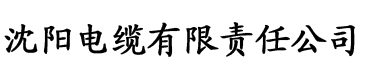 伦理片秋霞电影网电缆厂logo